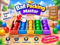 Ball Packing Master Puzzle &ndash; Fill Box image
